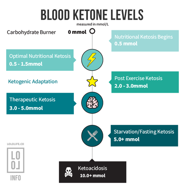 Ketone Level Basics LoLo Life