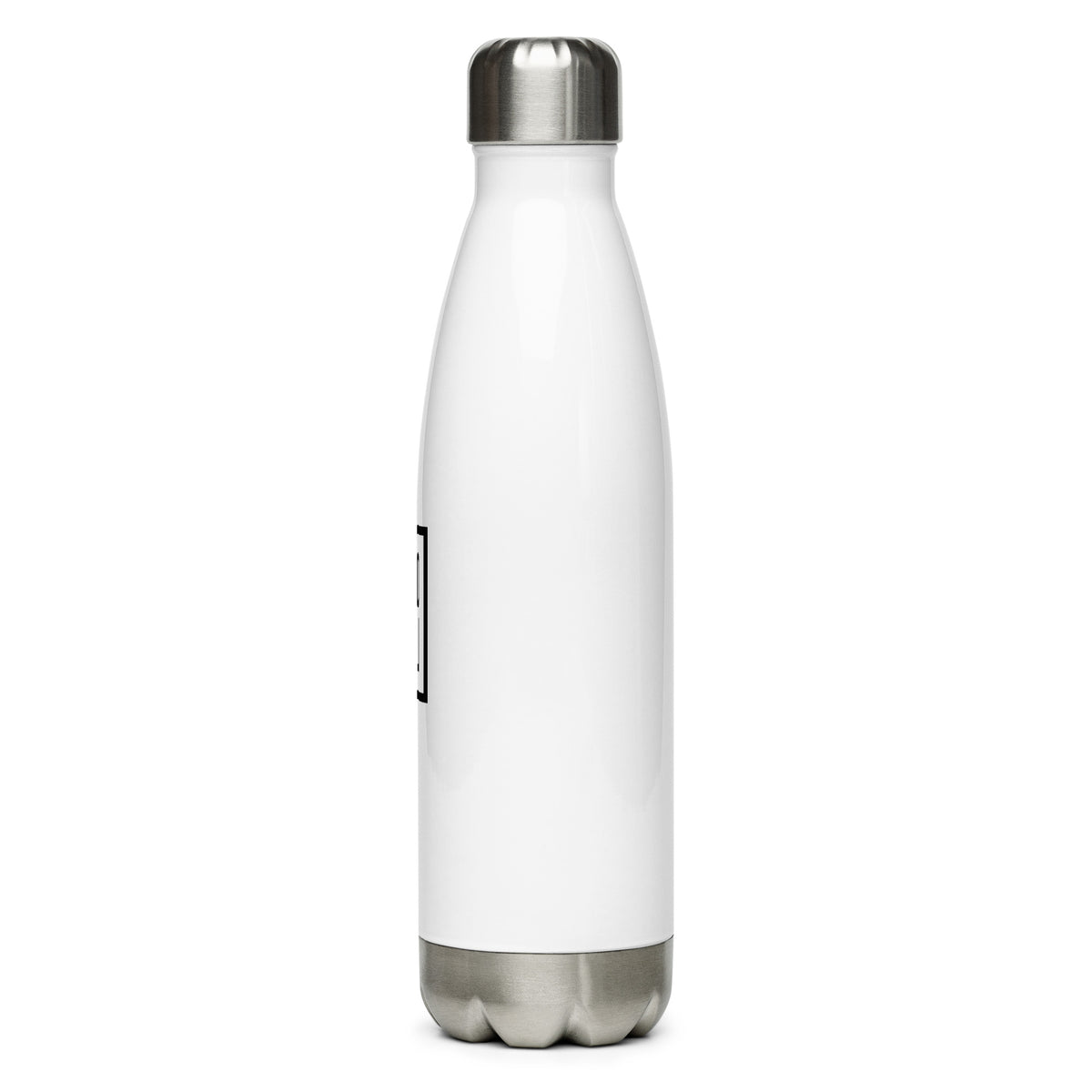 Stainless Steel Water Bottle