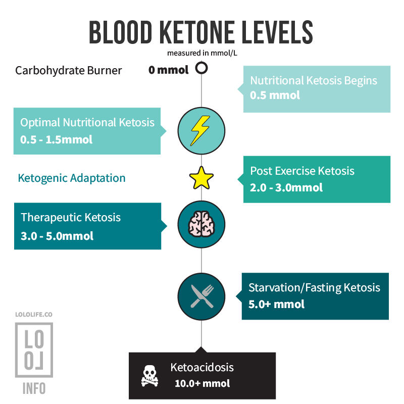 Ketone Level Basics
